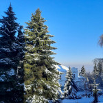 IMG_20260124_082038_440