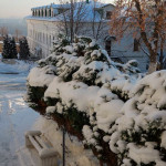 IMG_20260124_082105_160