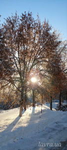 IMG_20260124_082108_763