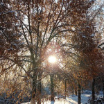 IMG_20260124_082108_763