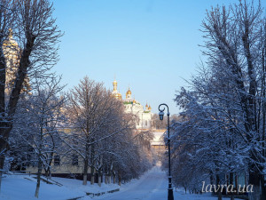 IMG_20260124_082808_789