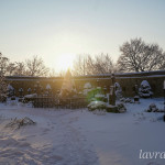 IMG_20260124_082809_363