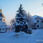 IMG_20260124_082809_394