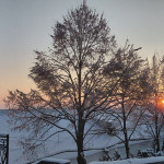 photo_10_2026-01-16_08-17-00