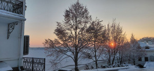 photo_10_2026-01-16_08-17-00