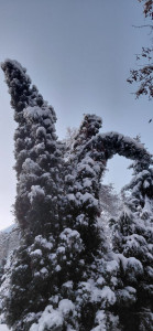 photo_16_2026-01-16_08-17-00