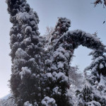 photo_16_2026-01-16_08-17-00