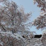 photo_17_2026-01-16_08-17-00