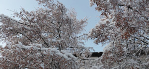 photo_17_2026-01-16_08-17-00