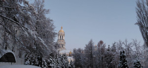 photo_19_2026-01-16_08-17-00