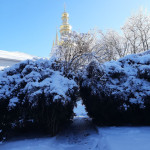 photo_2026-01-24_10-26-50