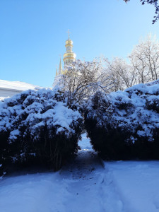 photo_2026-01-24_10-26-50