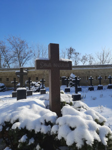 photo_2026-01-24_10-26-51