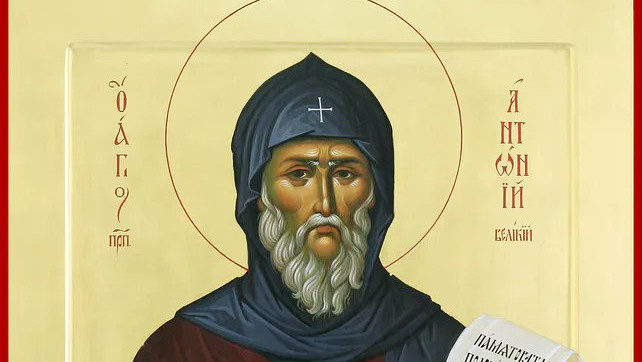 photo_2026-01-29_13-36-22