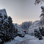 photo_20_2026-01-16_08-17-00