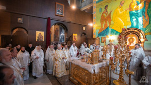 photo_2_2026-01-11_14-17-12