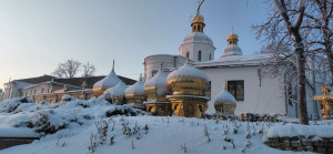 photo_9_2026-01-16_08-17-00