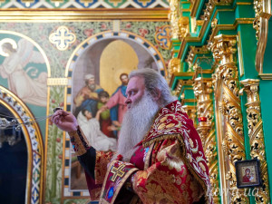 IMG_20260207_120808_529