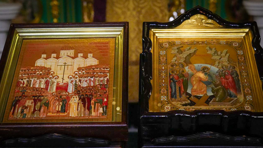 IMG_20260207_204428_485 (1)