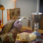 IMG_20260208_092712_610