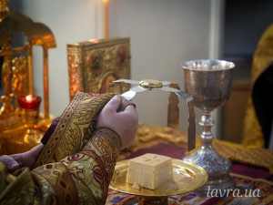 IMG_20260208_092712_610