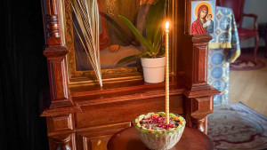 IMG_20260213_224339_233