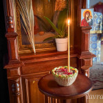 IMG_20260213_224339_233