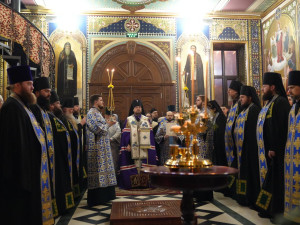 IMG_20260215_062411_060