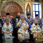 IMG_20260215_142225_539