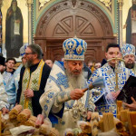 IMG_20260215_142238_388 (1)