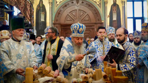 IMG_20260215_142238_388 (1)