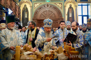 IMG_20260215_142238_388