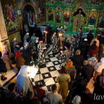 IMG_20260223_201038_688