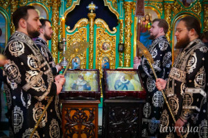 IMG_20260223_201146_748