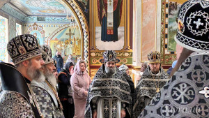 IMG_20260225_110422_941