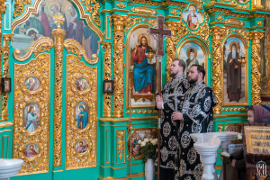 ЛПД-5