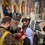 photo_13_2026-02-25_13-49-53