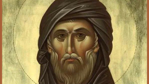 photo_2026-02-10_10-27-01