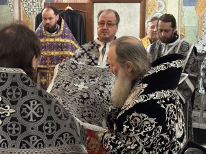 photo_33_2026-02-25_13-49-53