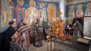 photo_36_2026-02-25_13-49-53