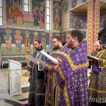 photo_38_2026-02-25_13-49-53