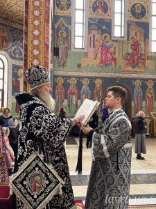 photo_4_2026-02-25_13-49-53