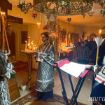 photo_5_2026-02-25_19-04-40