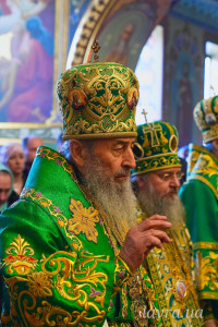 IMG_20260308_113850_338