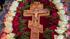 IMG_20260314_191144_694