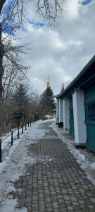 photo_2026-03-06_12-32-24