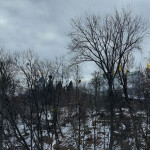 photo_2026-03-06_12-32-26