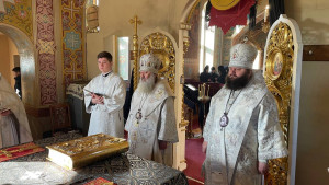 photo_2026-03-12_14-28-21