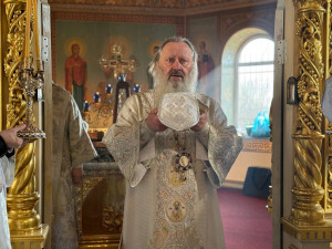 photo_2026-03-12_17-59-15