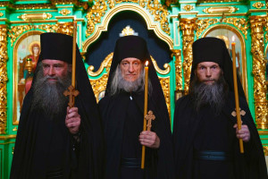 photo_4_2026-03-17_15-17-46